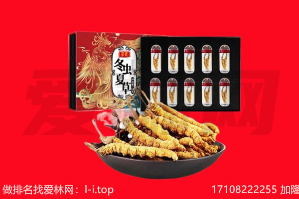 康乐县回收虫草.jpg